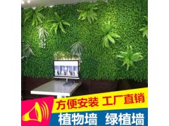 仿真草坪绿植墙仿真植物墙装饰塑料人工草皮尤加利绿色假植物批发图1