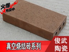 【精品】俊武新品真空烧结砖，专用地砖 ，耐磨透水。多色可选图3