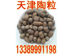 天津陶粒页岩陶粒300-1000级 粘土陶粒13389991198 陶粒滤料浮石图1